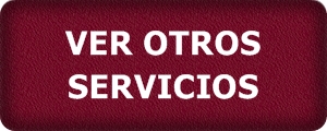 maservicios